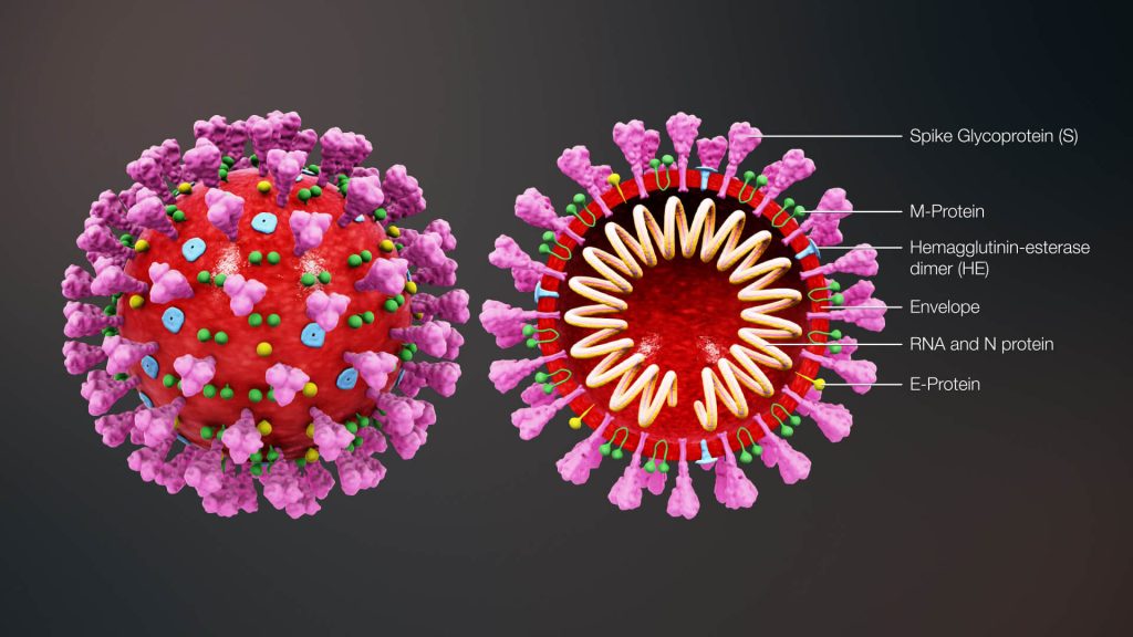 nCoVID-19 Coronavirüs Nedir?
